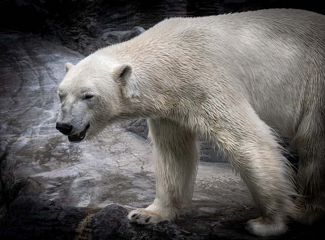 Blog image: Nifty succumbs to selling pressure on the November F&O expiry day.